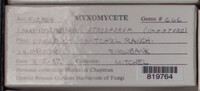 Image Associated With the Occurence